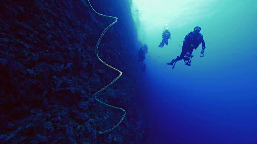 Underwater Shot Of Scuba Diver At Coral Reef Drop Off, Next To Whip ...