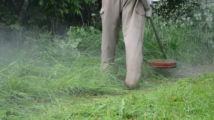 Water Rain Drops Rise From Man With Trimmer Cutting Wet High Grass On ...