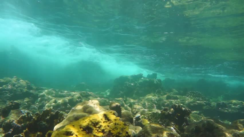 Seabed Stock Footage Video - Shutterstock