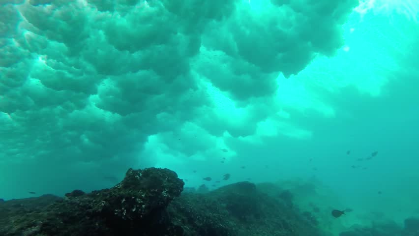 Surfing Wave Breaking Over Coral Reef Passes Snorkeler, Slow Motion ...